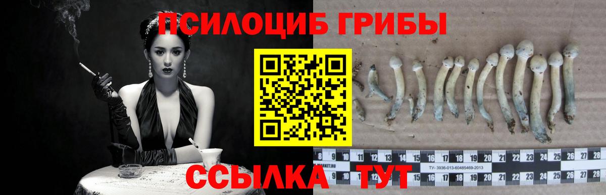 Галлюциногенные грибы прущие грибы Туапсе